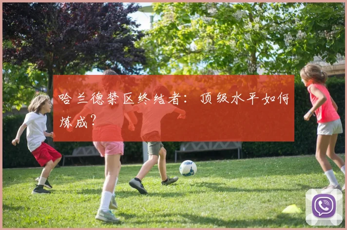 哈兰德禁区终结者：顶级水平如何炼成？